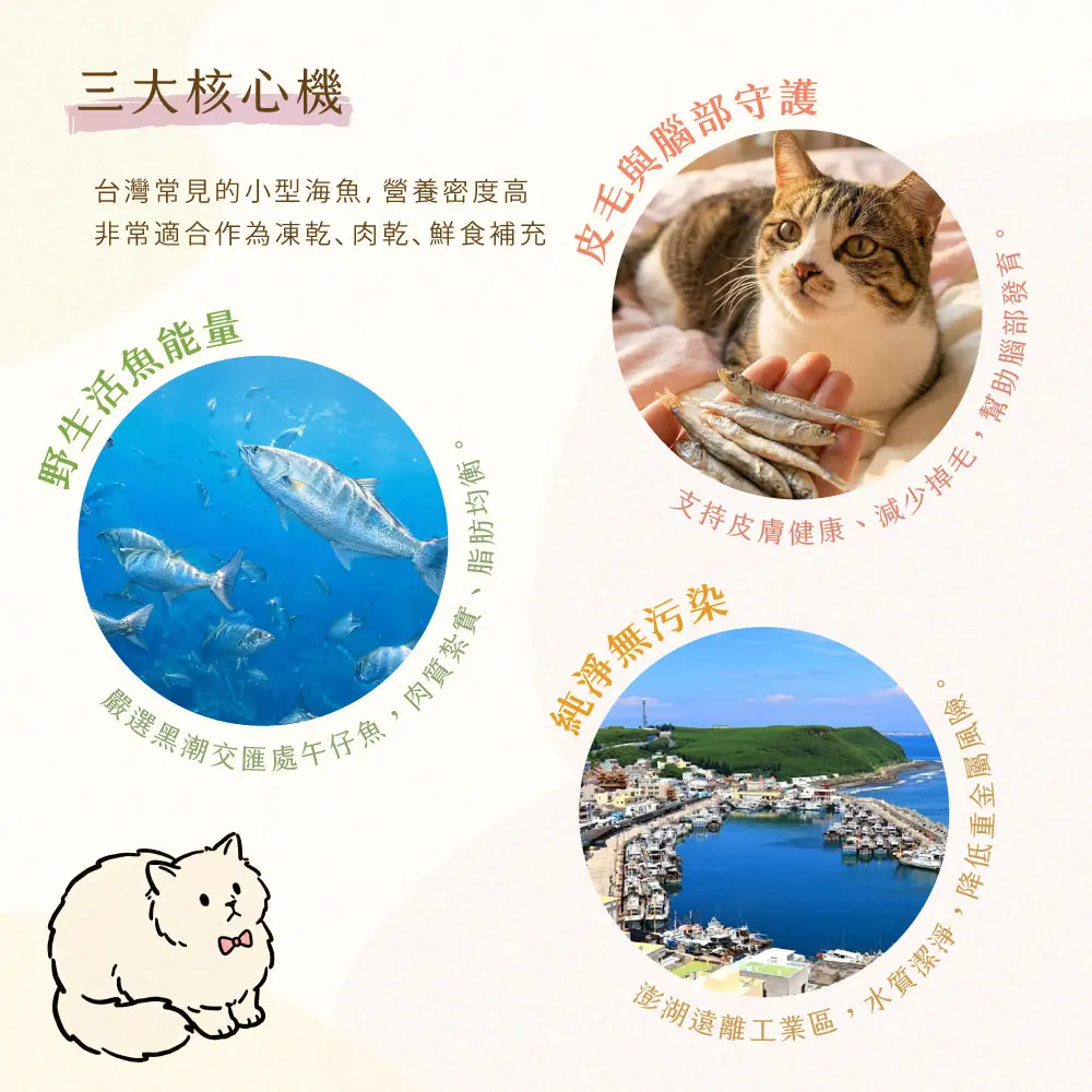 三大核心 午仔魚肉片 三大核心 午仔魚肉片