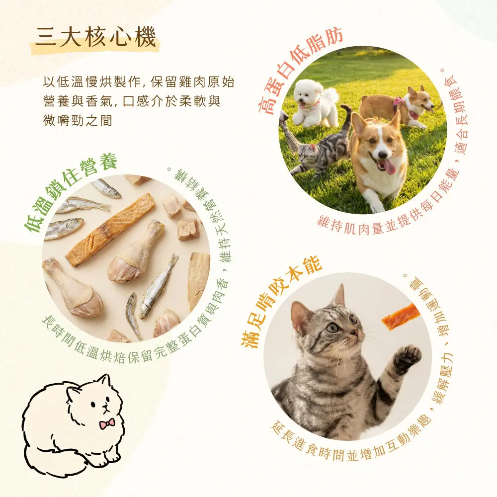 三大核心 筷子肉條 三大核心 筷子肉條