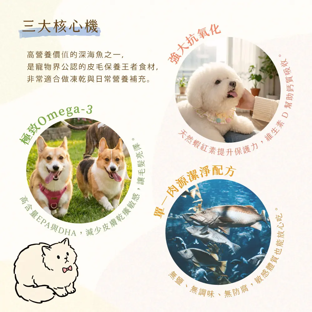 三大核心 鮭魚 三大核心 鮭魚