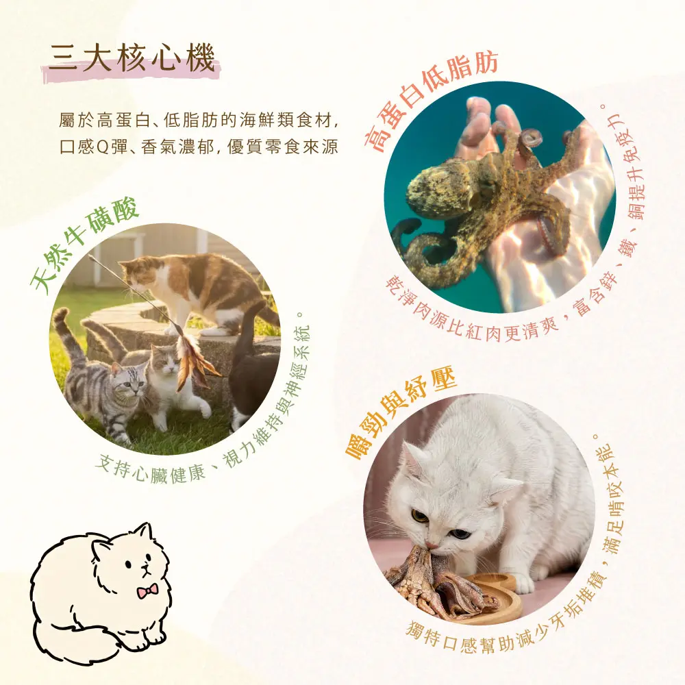 三大核心 石鮔凍乾