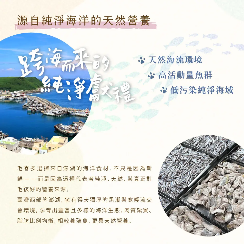 澎湖 澎湖