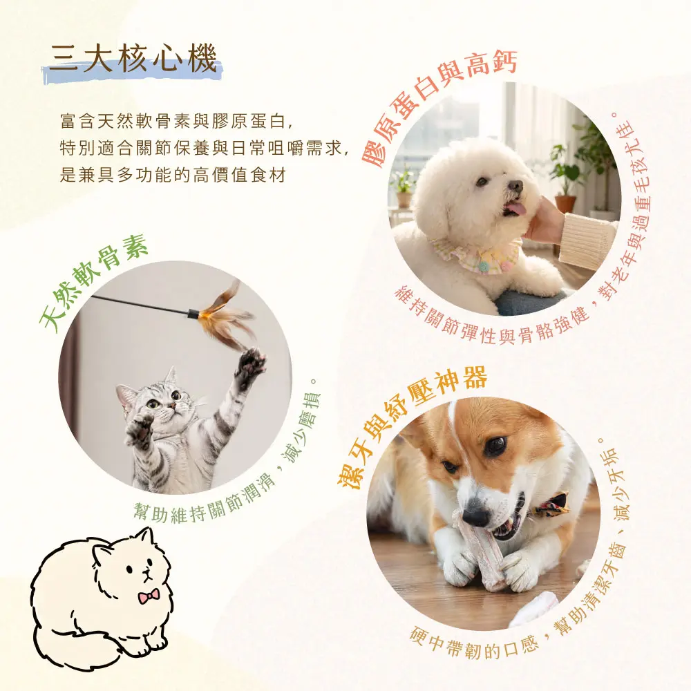 三大核心 鯊魚軟骨